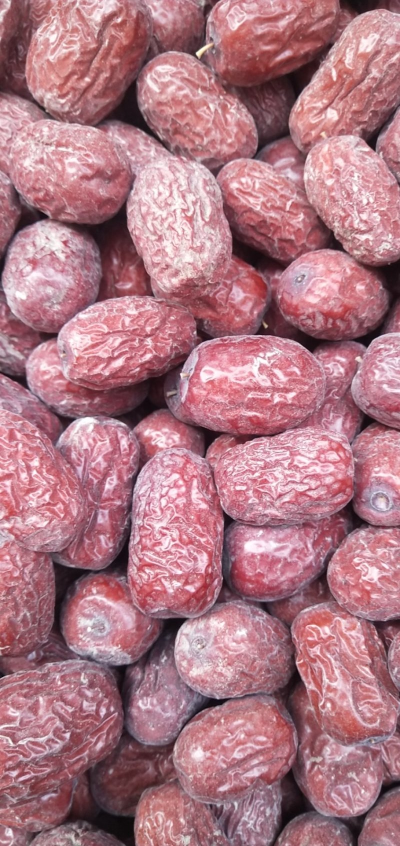 新疆若羌吊干灰枣