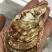 东山岛贝多拉生蚝冷水净化蚝