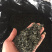 名优绿茶