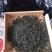 名优绿茶