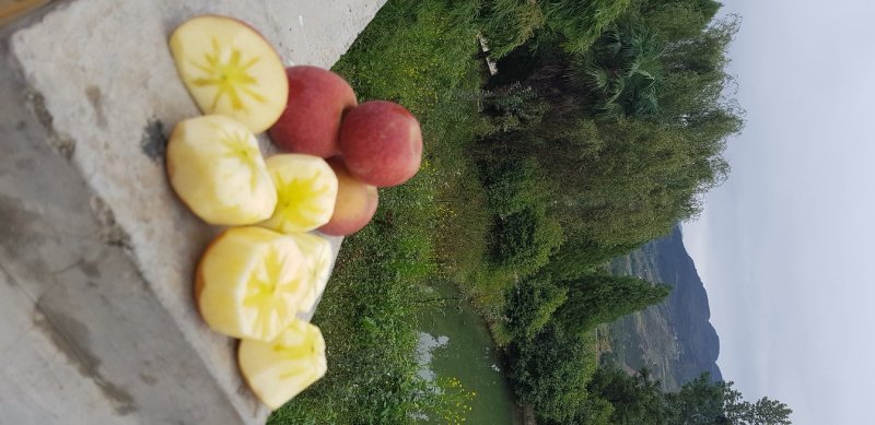 糖心苹果
