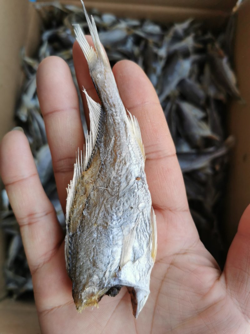 正宗新鲜黄鱼干，个大不咸