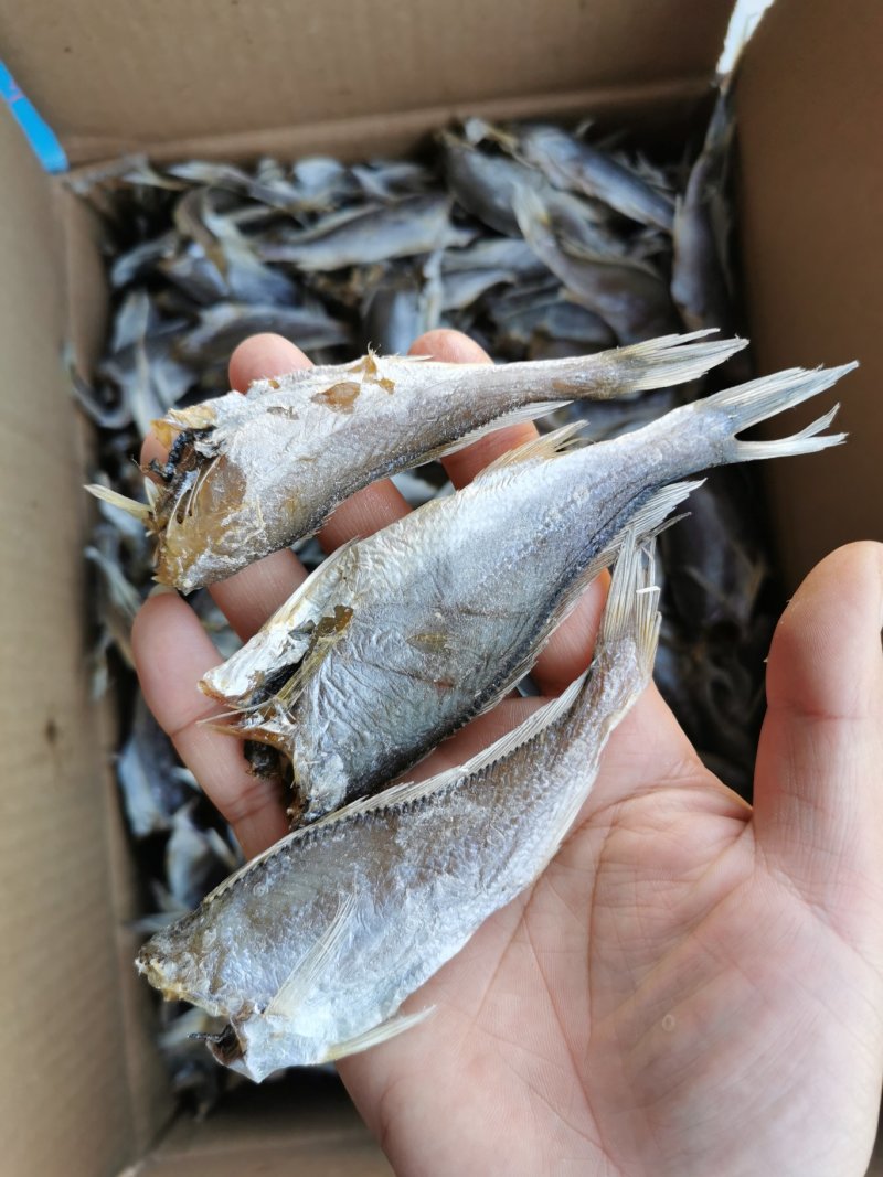 正宗新鲜黄鱼干，个大不咸
