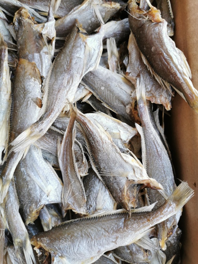 正宗新鲜黄鱼干，个大不咸