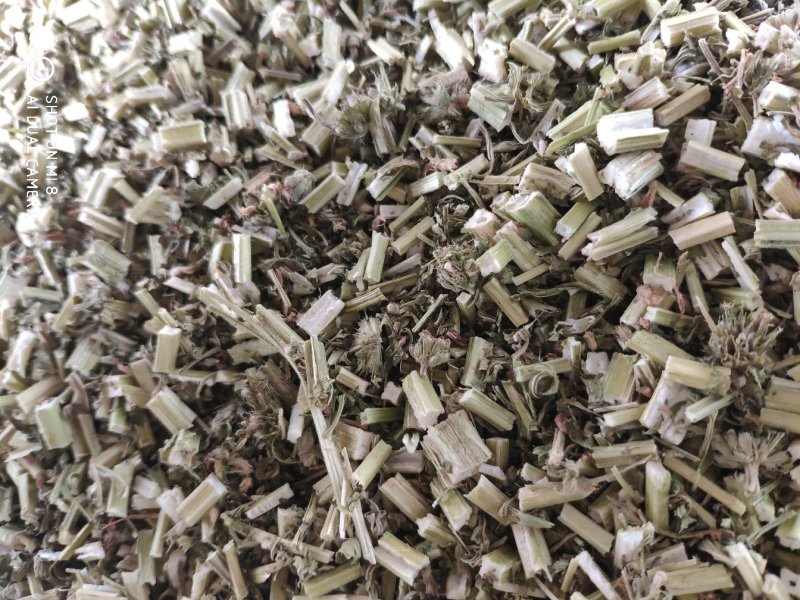 益母草货好量大代抓药方产地货源不满意可以退换