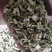 益母草货好量大代抓药方产地货源不满意可以退换