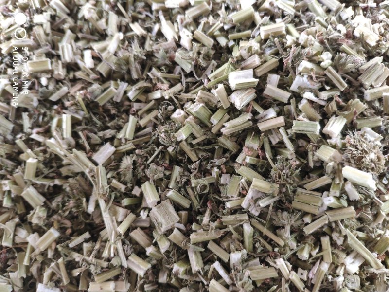 益母草货好量大代抓药方产地货源不满意可以退换