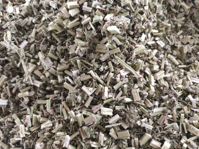 益母草货好量大代抓药方产地货源不满意可以退换