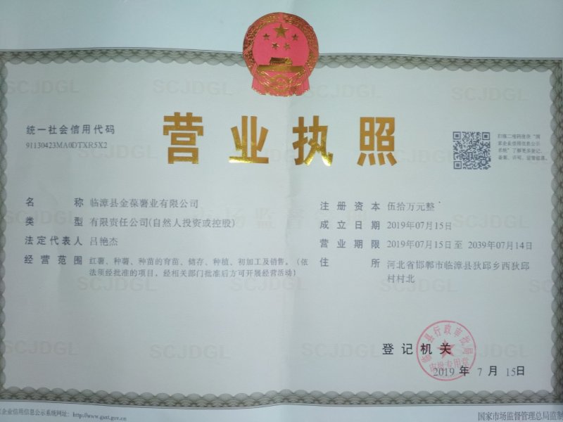 农科院脱毒西瓜红红薯苗，河北种苗，基地，超甜蜜薯
