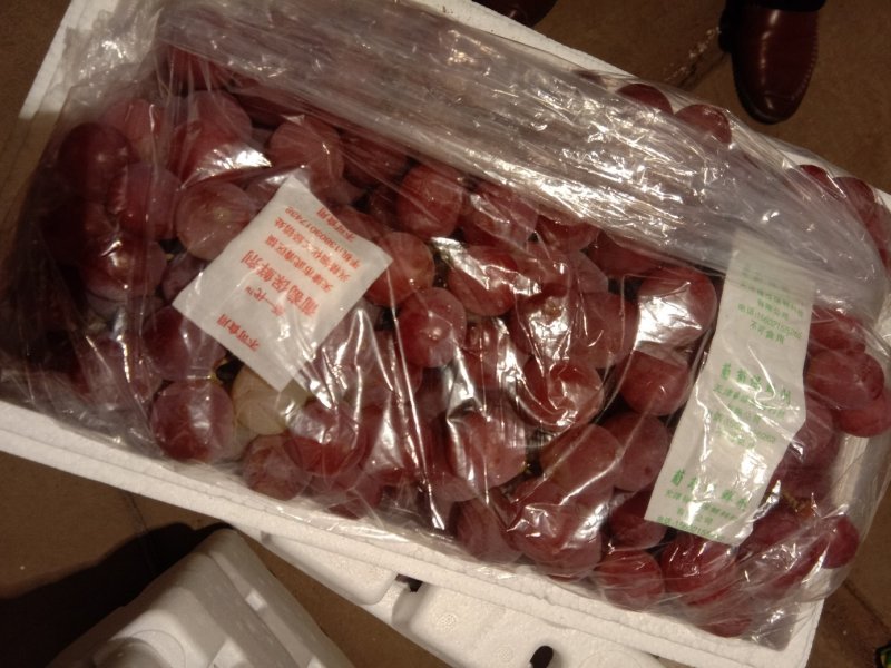 基地直发红提葡萄，价格可谈，量大从优，饱满多汁。