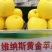 【好货源】维纳斯黄金苹果树苗，自己家的苗子，品种纯真