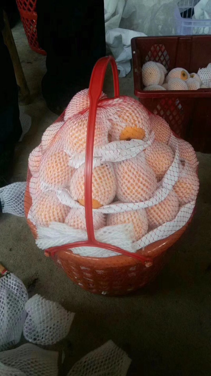 有需要的客商联系