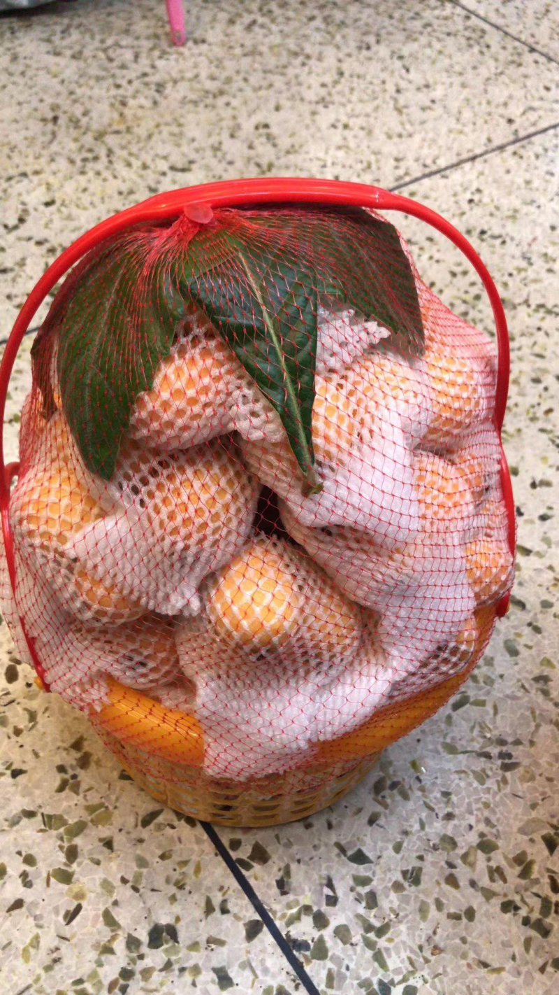 有需要的客商联系