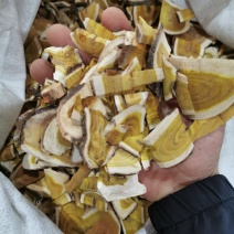 中药材野生穿破石正品川破石根中草药地棉根