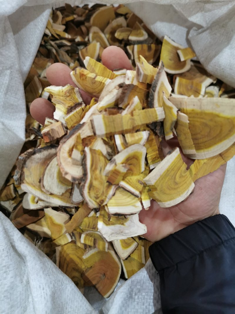 中药材野生穿破石正品川破石根中草药地棉根