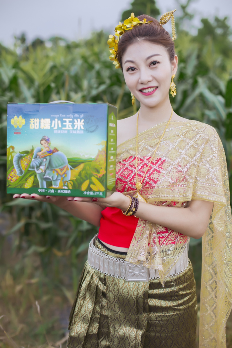 批发糯觅甜糯小玉米儿童早餐真空包装微波炉加热西双版纳