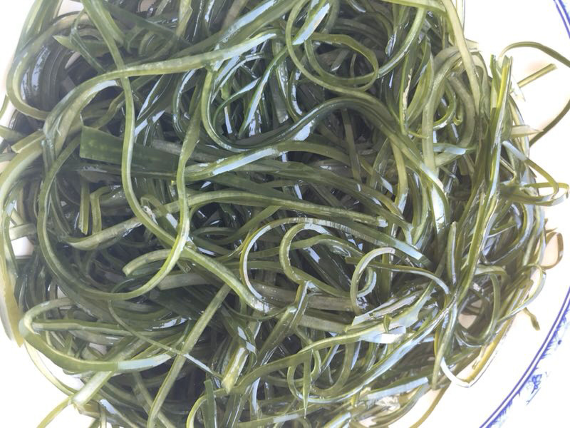 淡干海带丝烘干压缩海带丝海洋蔬菜顶刀丝海带