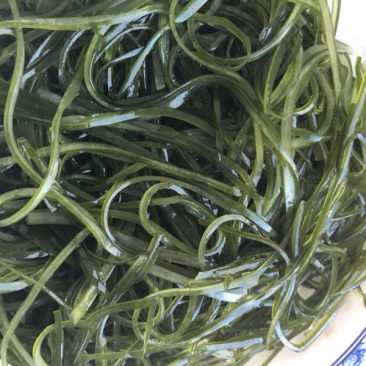 淡干海带丝烘干压缩海带丝海洋蔬菜顶刀丝海带