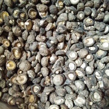 {聚便宣}抗病毒三斤批干香菇光面菇厚肉菇香菇好吃营养丰富