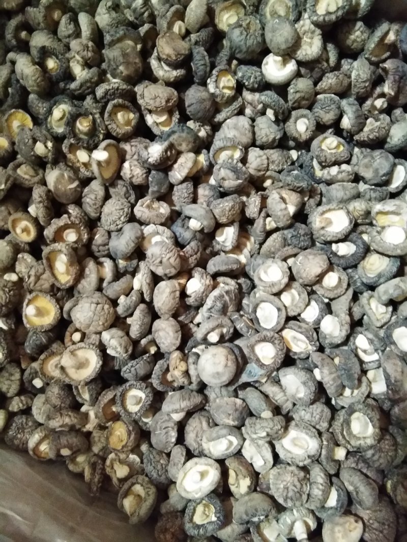 {聚便宣}抗病毒三斤批干香菇光面菇厚肉菇香菇好吃营养丰富