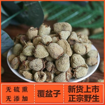 覆盆子干中药材正品野生覆盆子茶复盆子果