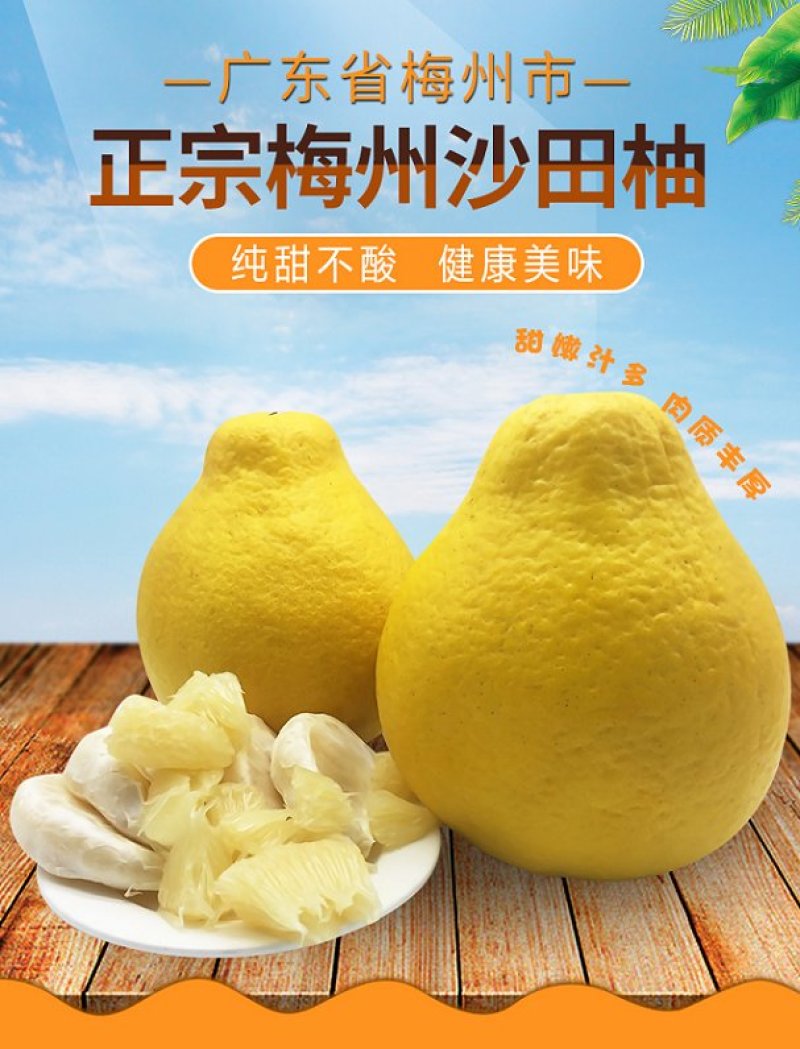 梅州沙田柚（梅州金柚）