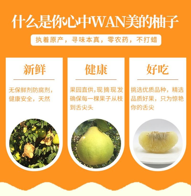 梅州沙田柚（梅州金柚）