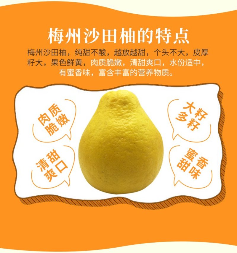 梅州沙田柚（梅州金柚）