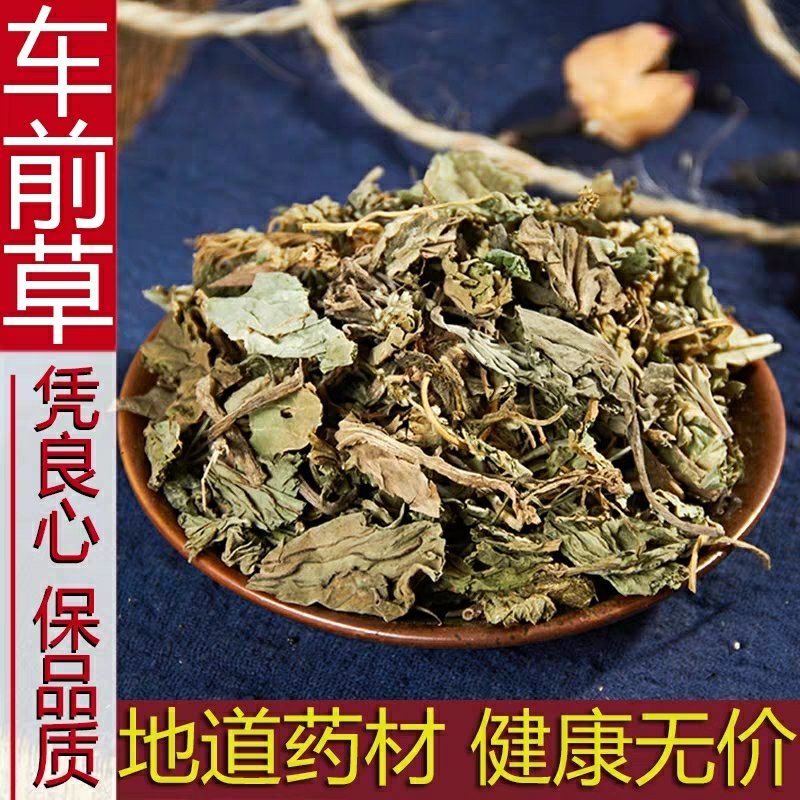 中药材正品新货野生车前草干500g克手工精选无硫天然车轮