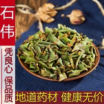 中药材正品新货野生石苇片500g克天然中草药石皮粉石韦金