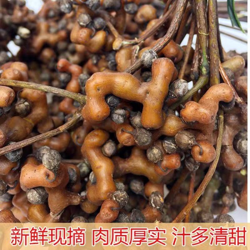 拐枣