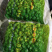 珍珠马蹄