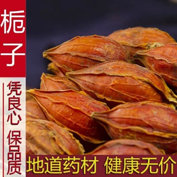 中药材正品新货野生栀子干500g克精选黄栀子枝子木丹栀