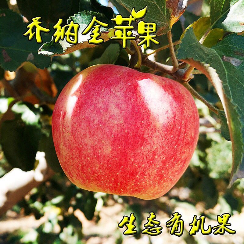 5斤乔纳金沙瓤脆甜苹果红色鲜果整箱包邮