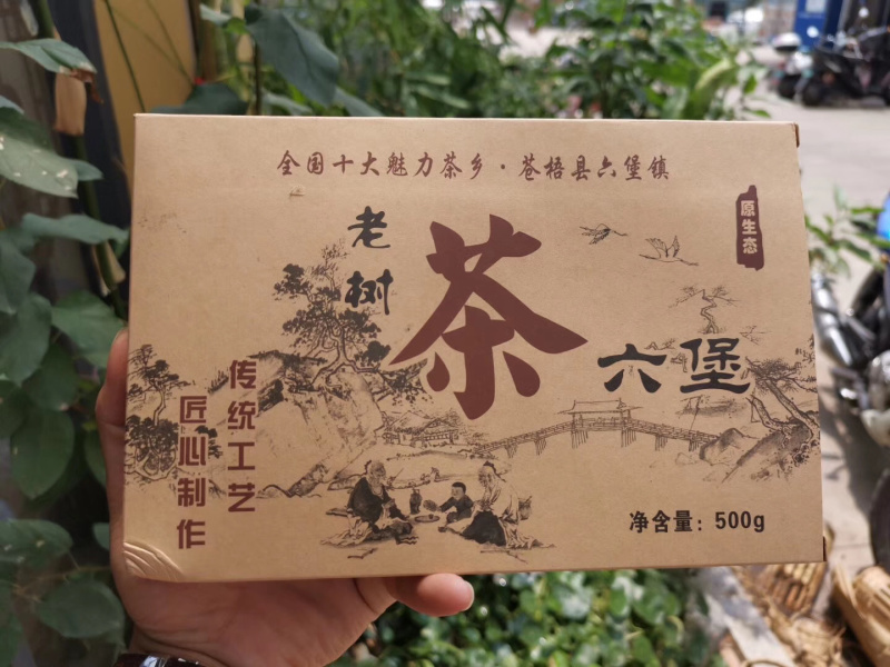 （一件代发）梧州六堡茶2017年老茶婆砖