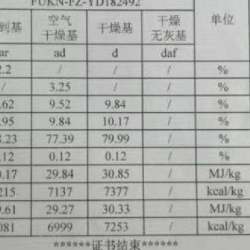 竹炭