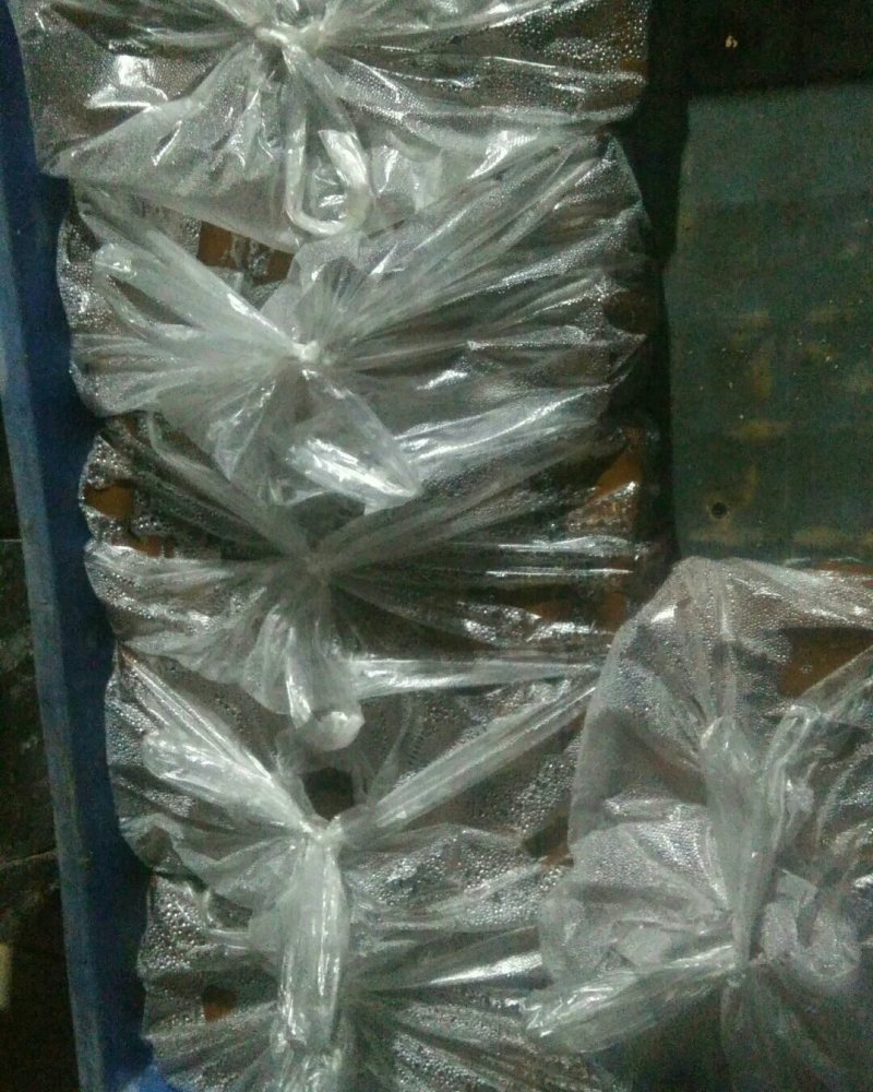 酱豆腐，油豆腐