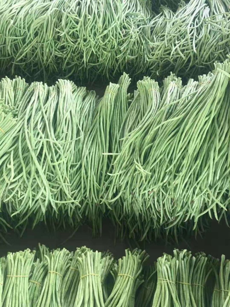天成蔬菜批发部