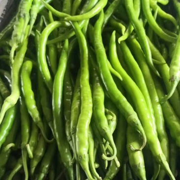 天成蔬菜批发部
