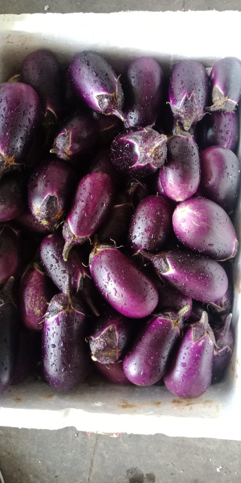 天成蔬菜批发部