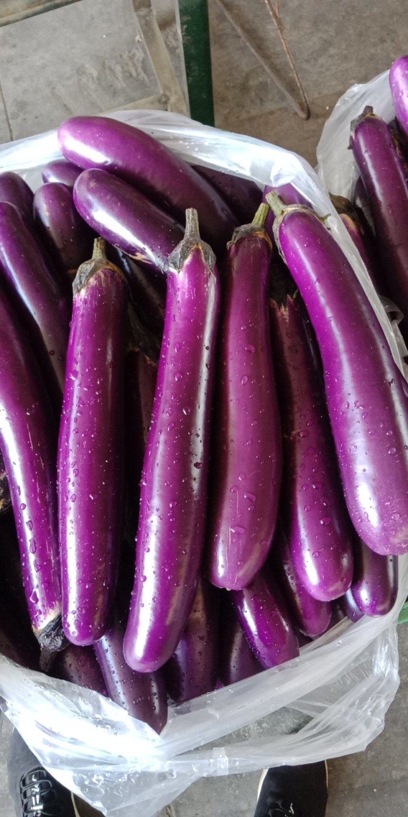 天成蔬菜批发部