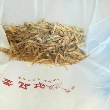 河虾