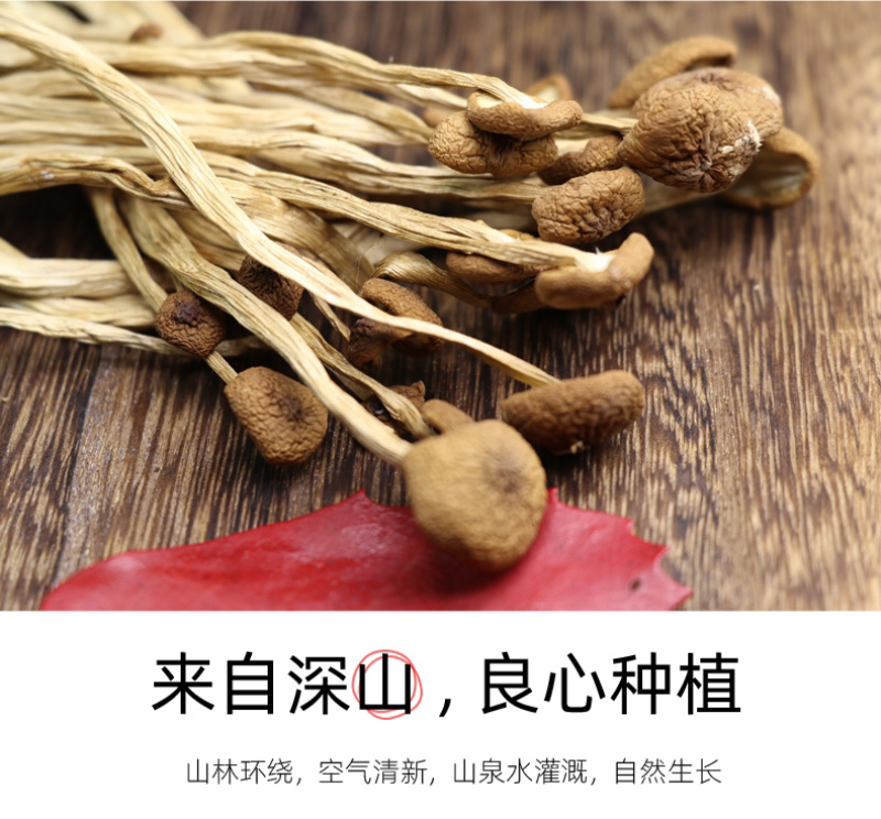 古田农家茶树菇干货茶薪菇