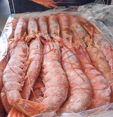 阿根廷红虾口感非常好最新日期巴适得很
