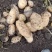新疆阿克苏荷兰十五土豆富硒土豆3两起无青头打冷耐运输皮光色鲜