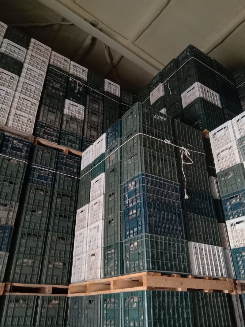 新疆阿克苏荷兰十五土豆富硒土豆3两起无青头打冷耐运输皮光色鲜