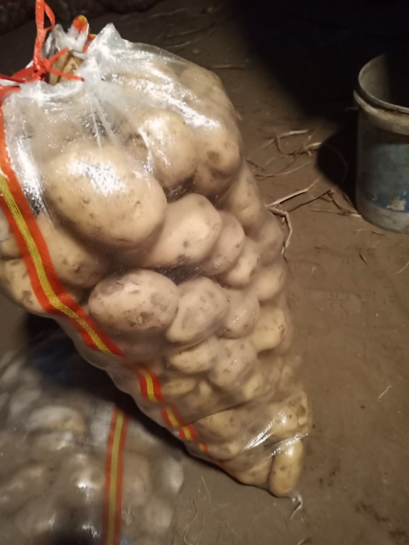 【热销】黄心土豆全国供应可视频看货量大从优欢迎电联
