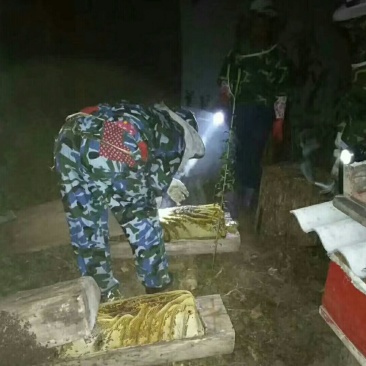 陕西大秦岭山农产品百花蜜