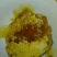 陕西大秦岭山农产品百花蜜