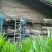 陕西大秦岭山农产品百花蜜